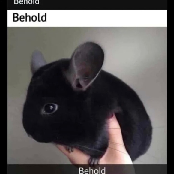 Meet your Posher, Ericca - Picture 2 of 12